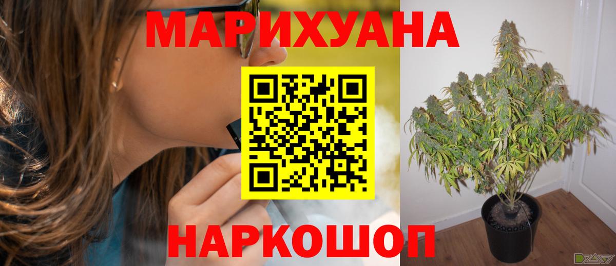Балашов  Бошки марихуана семена  Канабис планчик  Бошки марихуана Amnesia  Вход с VPN 